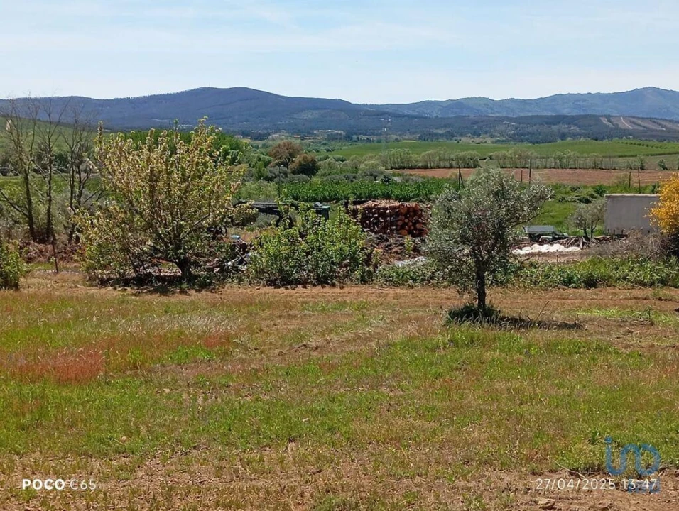 Terreno para Venda em Capinha Foto 14