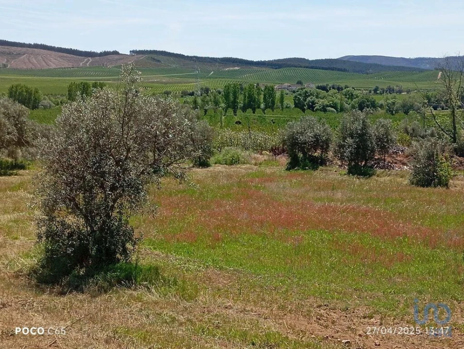 Terreno para Venda em Capinha Foto 13