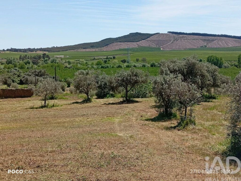 Terreno para Venda em Capinha Foto 17