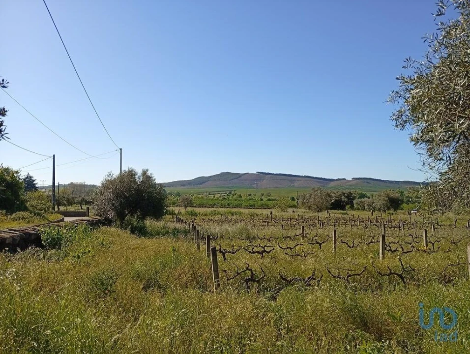 Terreno para Venda em Capinha Foto 9