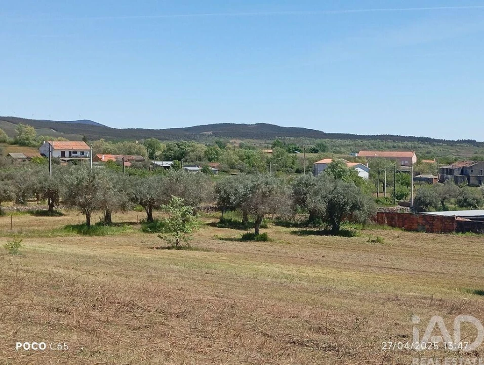 Terreno para Venda em Capinha Foto 15