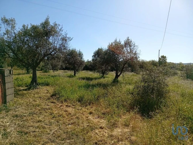 Terreno para Venda em Capinha Foto 8