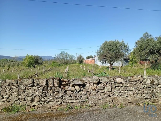 Terreno para Venda em Capinha Foto 12