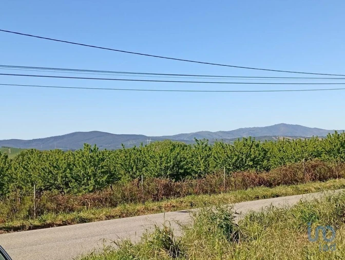 Terreno para Venda em Capinha Foto 10