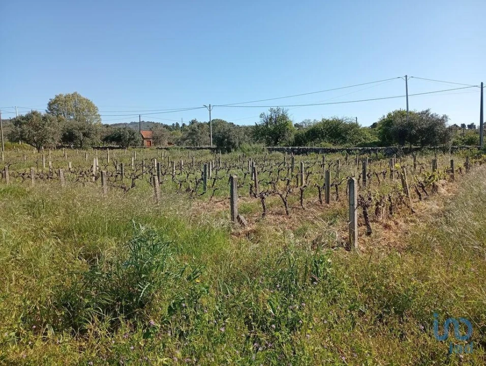 Terreno para Venda em Capinha Foto 2