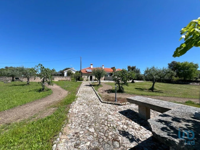 Moradia T6 para Venda em Idanha-A-Nova e Alcafozes Foto 12