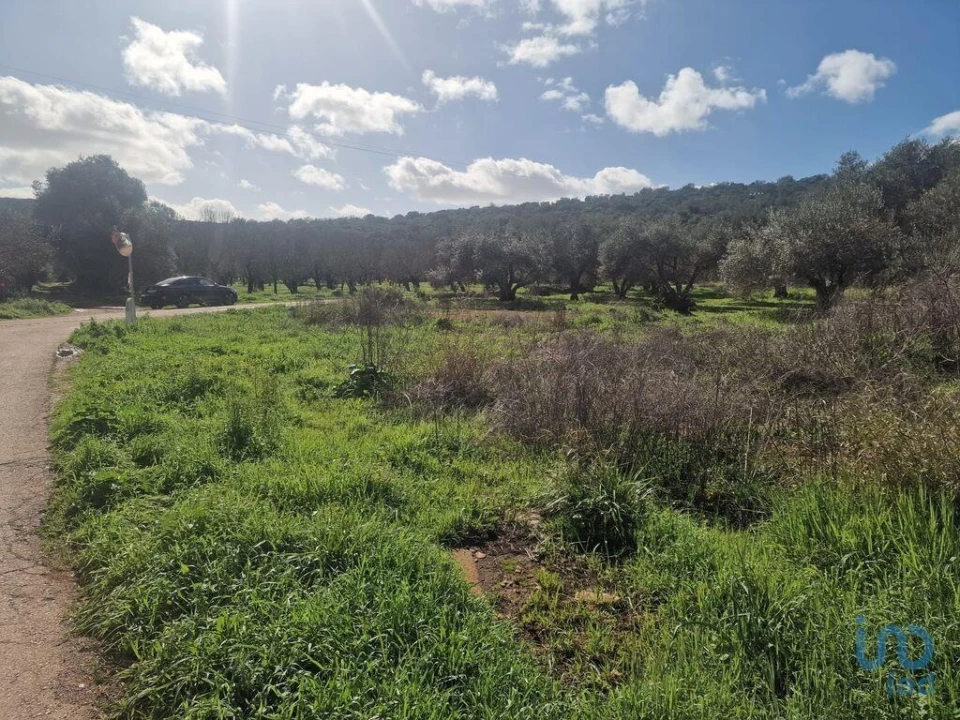 Moradia para Venda em Salir Foto 7