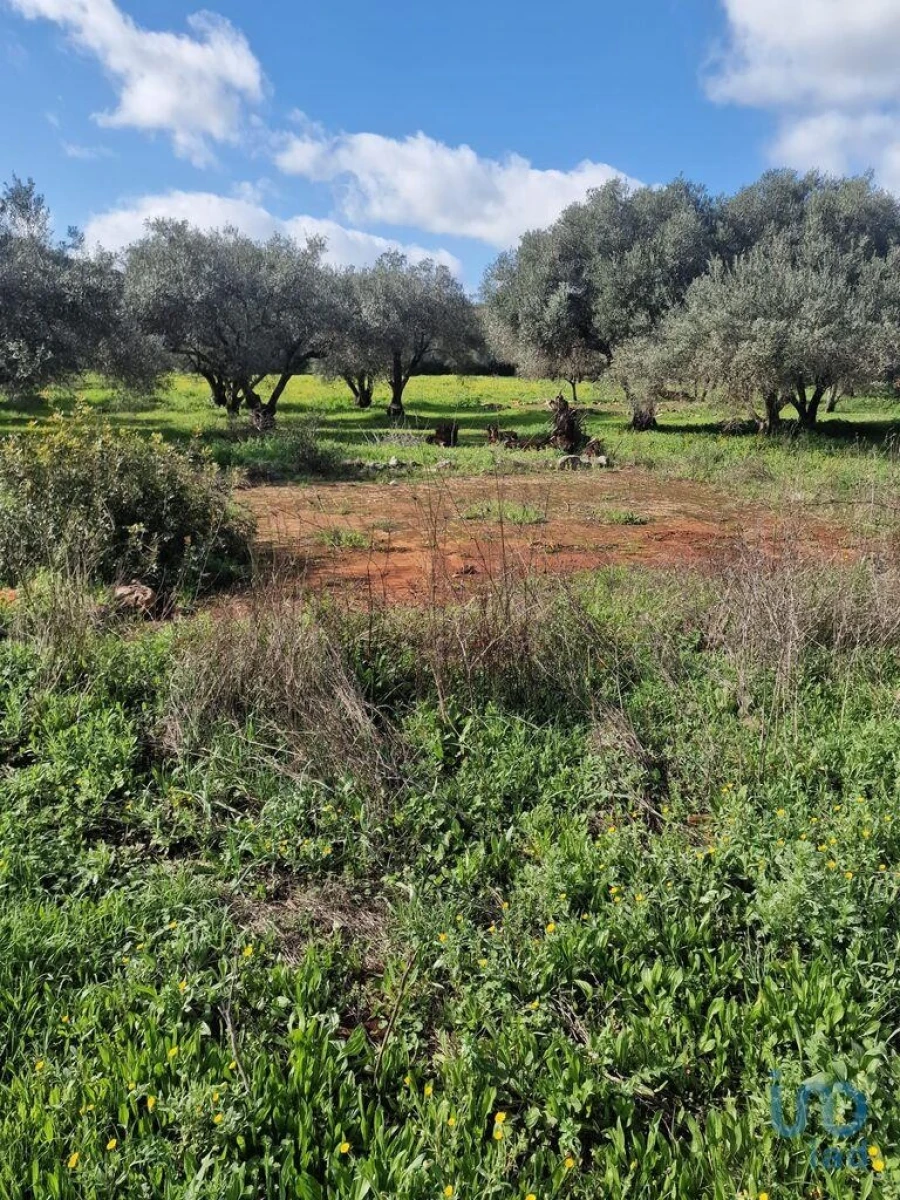Moradia para Venda em Salir Foto 10