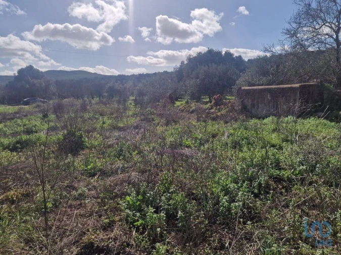 Moradia para Venda em Salir Foto 11
