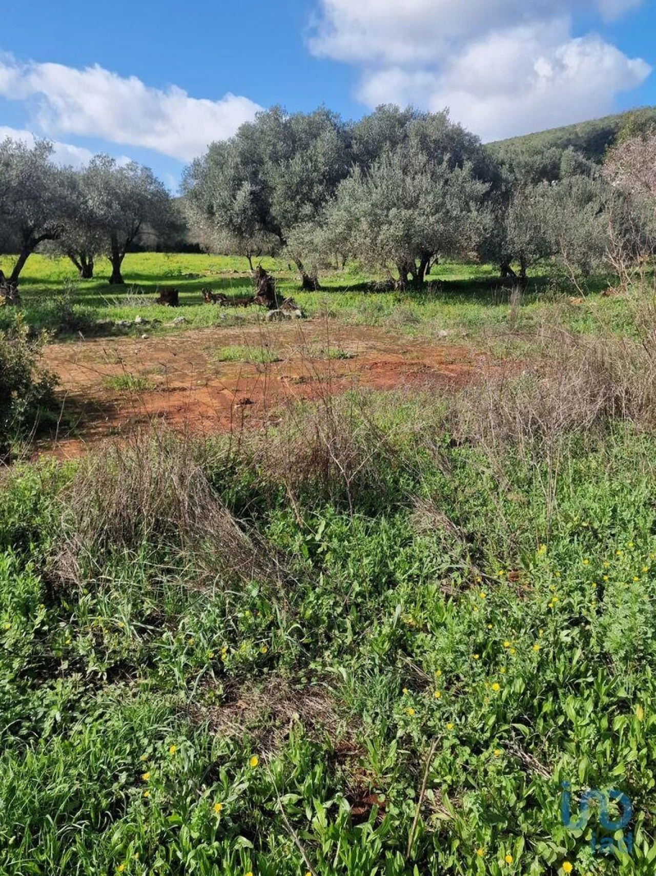 Moradia para Venda em Salir Foto 8