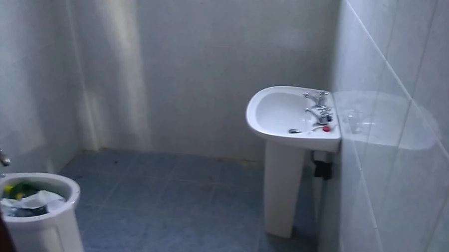 Armazém para Arrendamento em São João das Lampas e Terrugem Foto 2