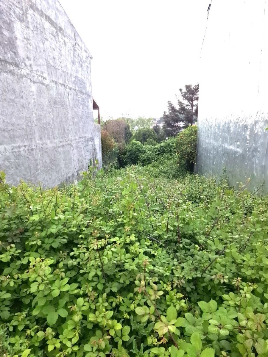 Terreno para Venda em Creixomil Foto 3