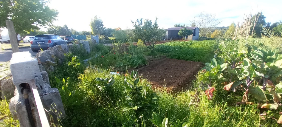 Terreno para Venda em Cernache Foto 2