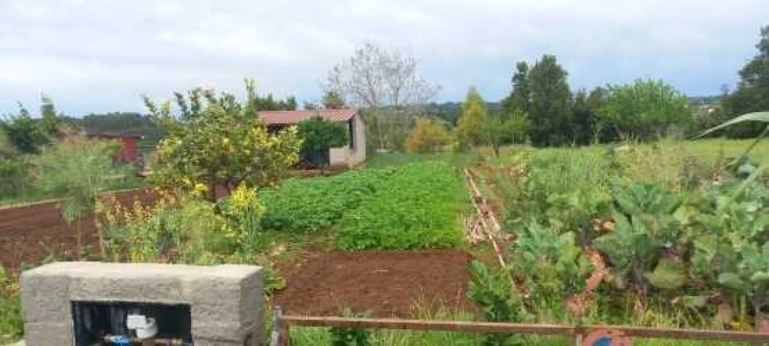 Terreno para Venda em Cernache Foto 3