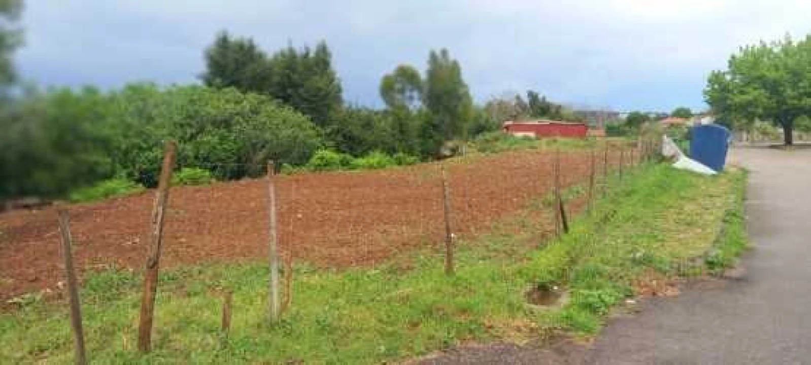 Terreno para Venda em Cernache Foto 4