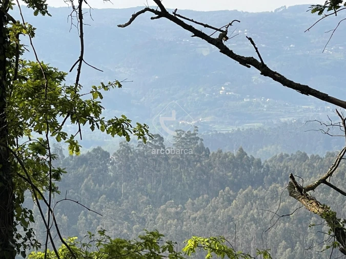 Moradia T1 para Venda em Cendufe Foto 18