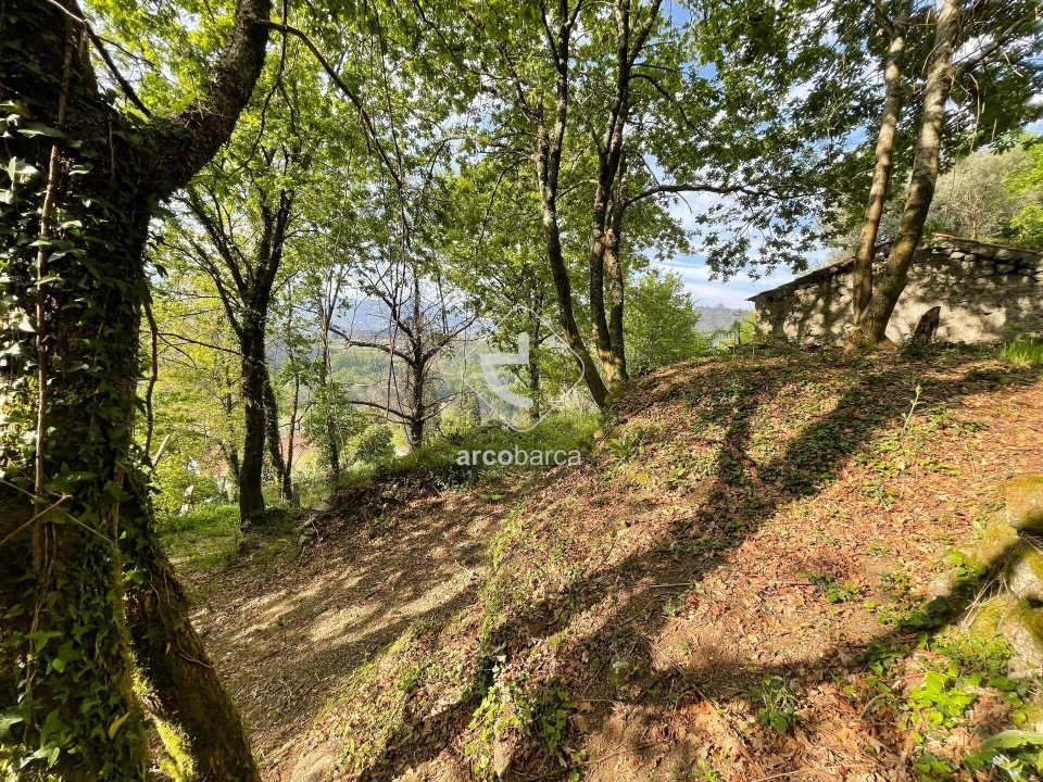 Moradia T1 para Venda em Cendufe Foto 14