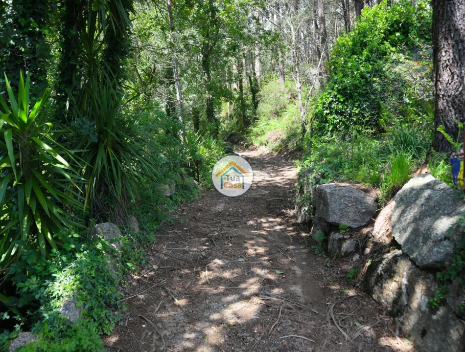 Terreno para Venda em Arnoso (Santa Maria e Santa Eulália) e Sezures Foto 5