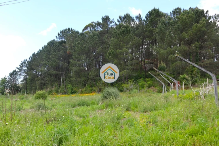 Terreno para Venda em Arnoso (Santa Maria e Santa Eulália) e Sezures Foto 11