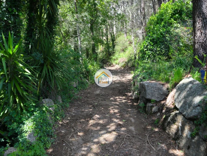 Terreno para Venda em Arnoso (Santa Maria e Santa Eulália) e Sezures Foto 5