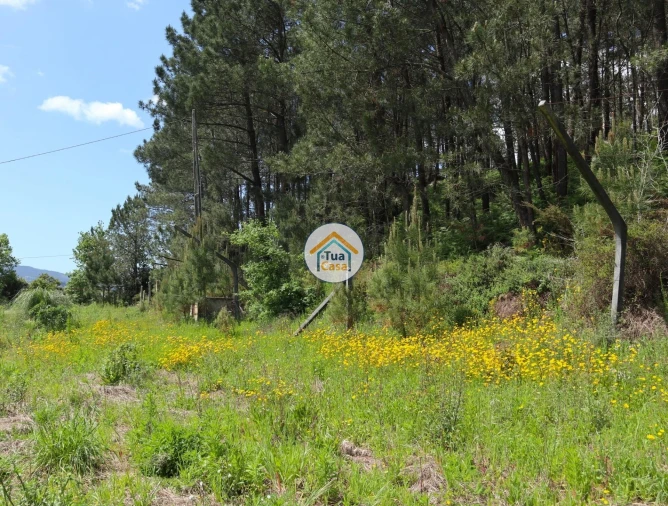 Terreno para Venda em Arnoso (Santa Maria e Santa Eulália) e Sezures Foto 12