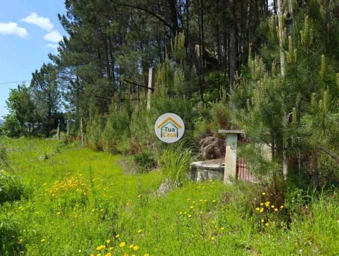 Terreno para Venda em Arnoso (Santa Maria e Santa Eulália) e Sezures Foto 13