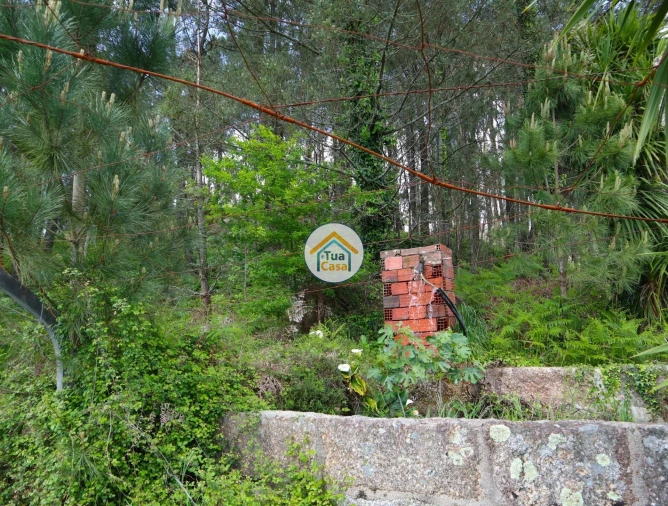 Terreno para Venda em Arnoso (Santa Maria e Santa Eulália) e Sezures Foto 14