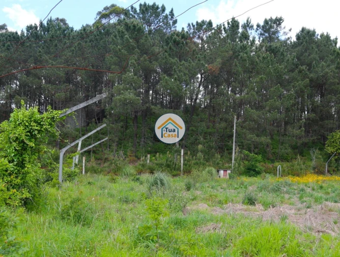 Terreno para Venda em Arnoso (Santa Maria e Santa Eulália) e Sezures Foto 8