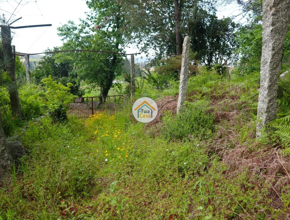 Terreno para Venda em Arnoso (Santa Maria e Santa Eulália) e Sezures Foto 7