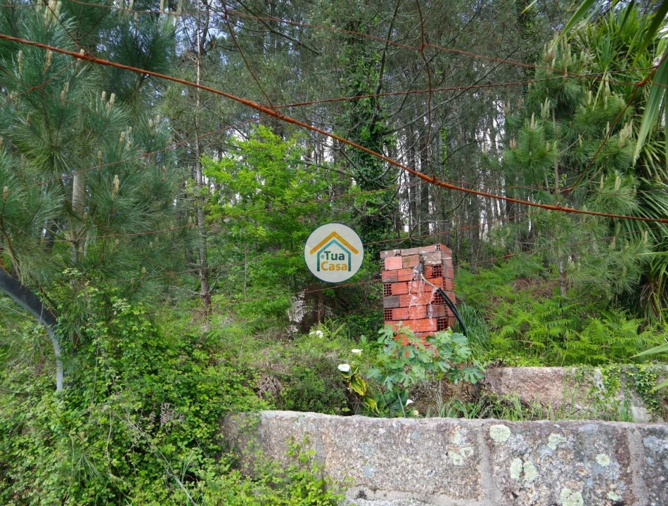 Terreno para Venda em Arnoso (Santa Maria e Santa Eulália) e Sezures Foto 14