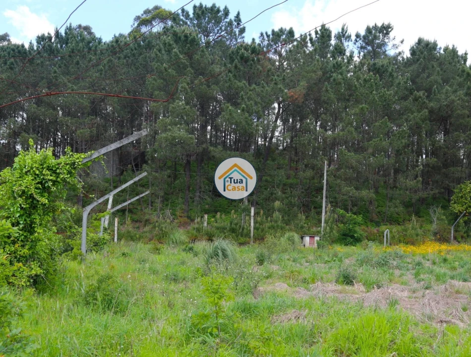 Terreno para Venda em Arnoso (Santa Maria e Santa Eulália) e Sezures Foto 8