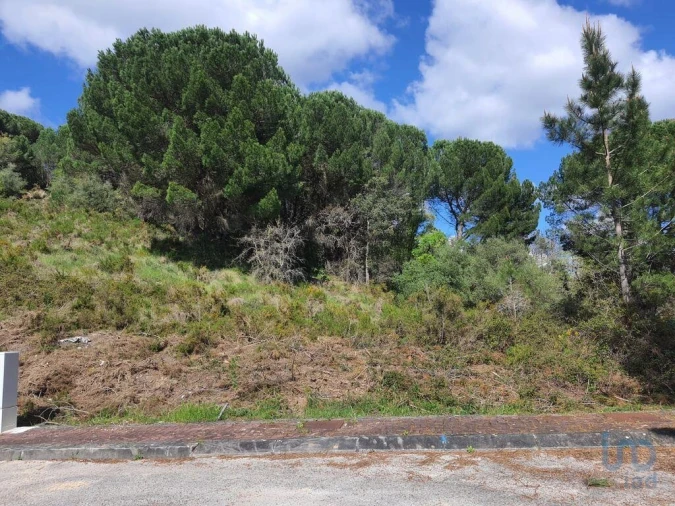 Terreno para Venda em Nossa Senhora da Piedade Foto 4