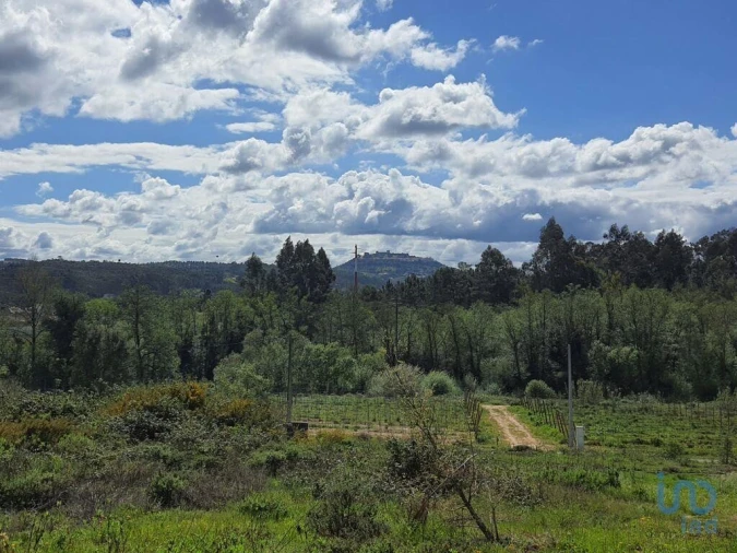 Terreno para Venda em Nossa Senhora da Piedade