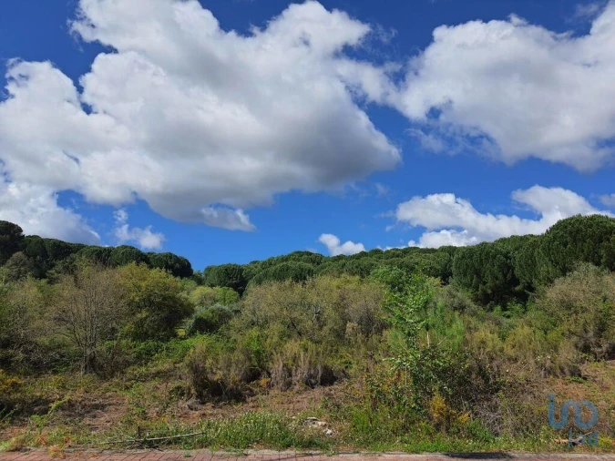 Terreno para Venda em Nossa Senhora da Piedade Foto 2