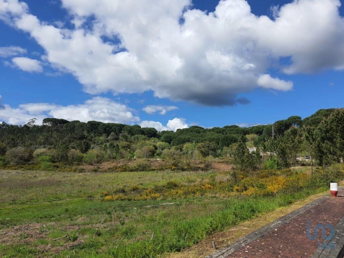 Terreno para Venda em Nossa Senhora da Piedade Foto 8