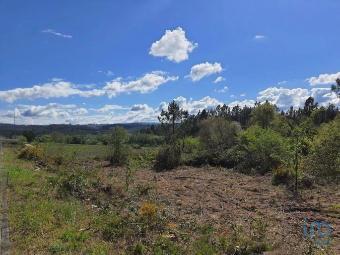 Terreno para Venda em Nossa Senhora da Piedade Foto 9