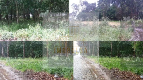 Terreno Misto para Venda em Aveleda
