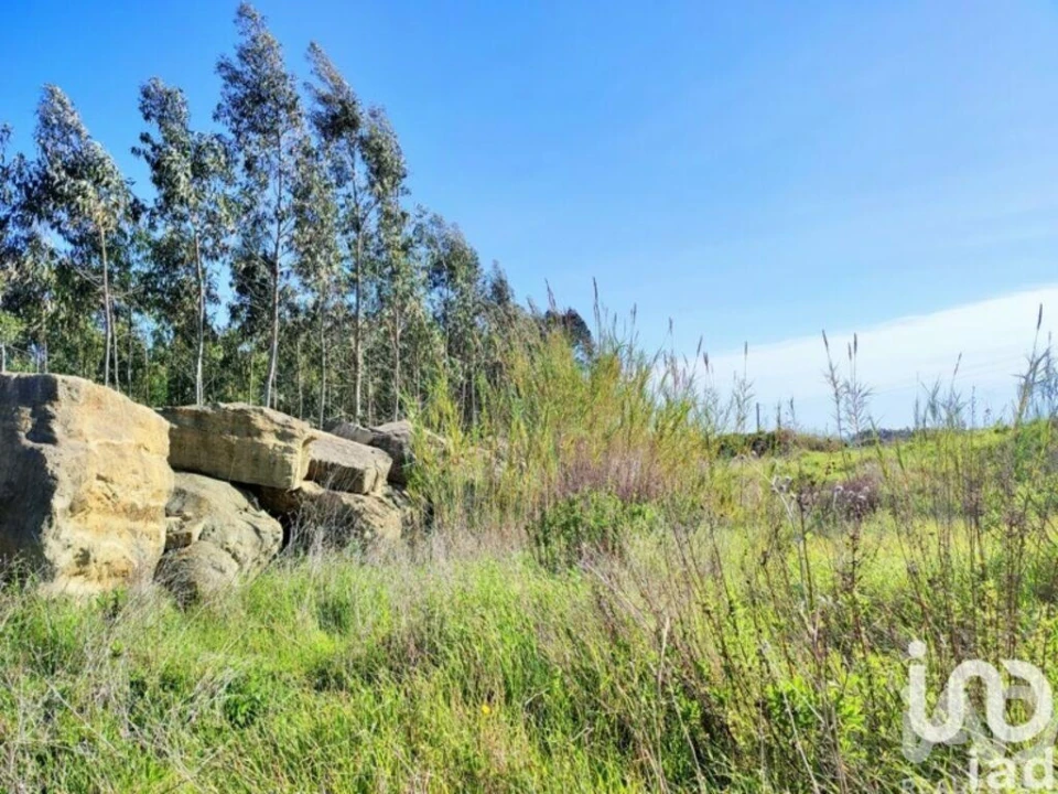 Terreno para Venda em Reguengo Grande Foto 29