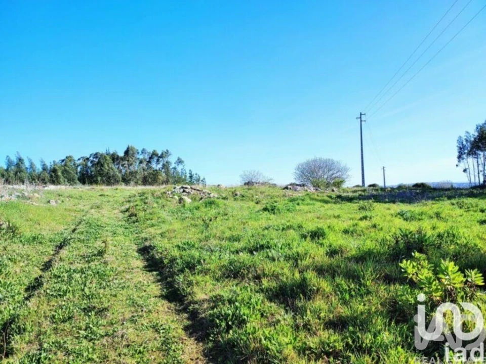 Terreno para Venda em Reguengo Grande Foto 22