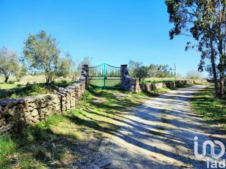 Terreno para Venda em Reguengo Grande Foto 10