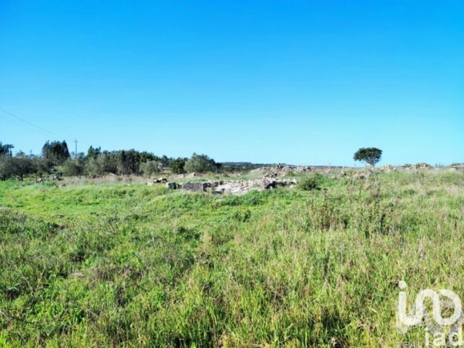 Terreno para Venda em Reguengo Grande Foto 17