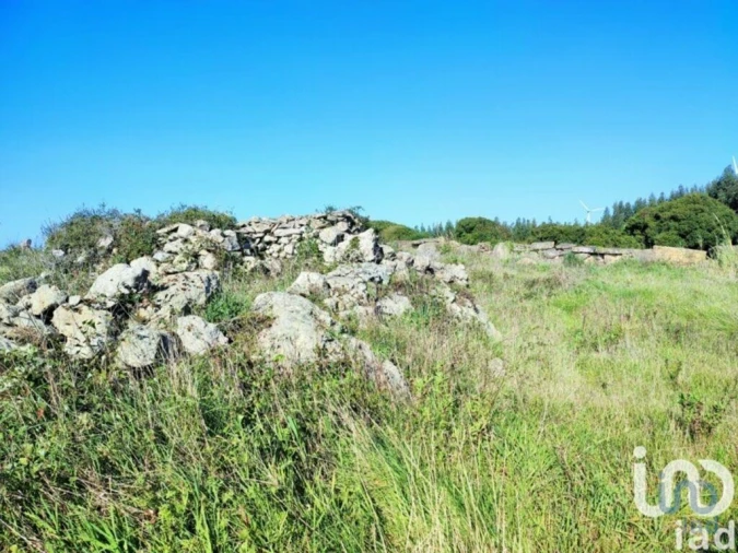 Terreno para Venda em Reguengo Grande Foto 2