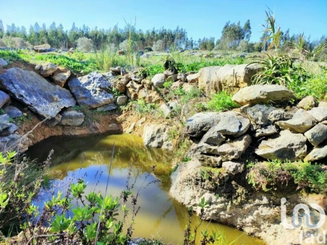 Terreno para Venda em Reguengo Grande