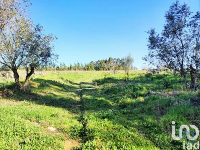 Terreno para Venda em Reguengo Grande Foto 3