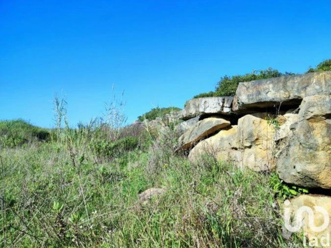 Terreno para Venda em Reguengo Grande Foto 26