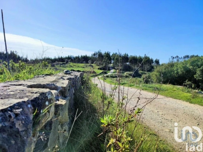 Terreno para Venda em Reguengo Grande Foto 7