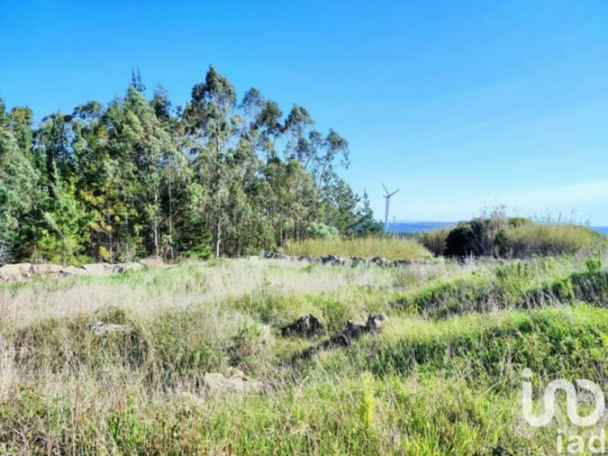 Terreno para Venda em Reguengo Grande Foto 16