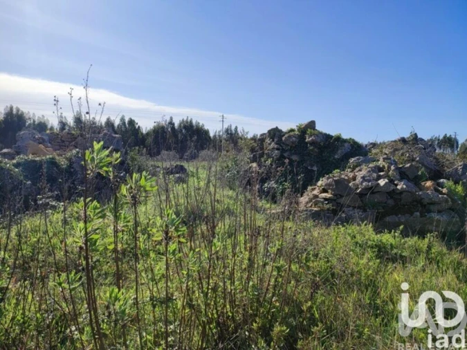 Terreno para Venda em Reguengo Grande Foto 23