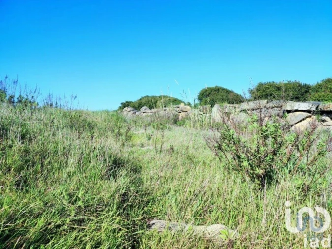 Terreno para Venda em Reguengo Grande Foto 8