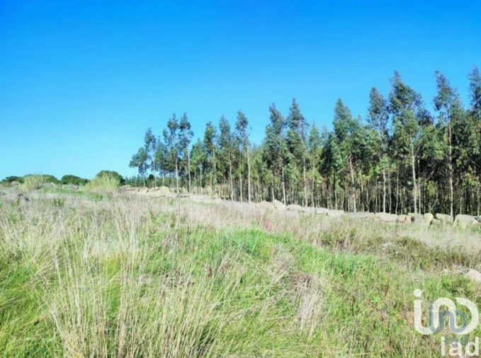 Terreno para Venda em Reguengo Grande Foto 11